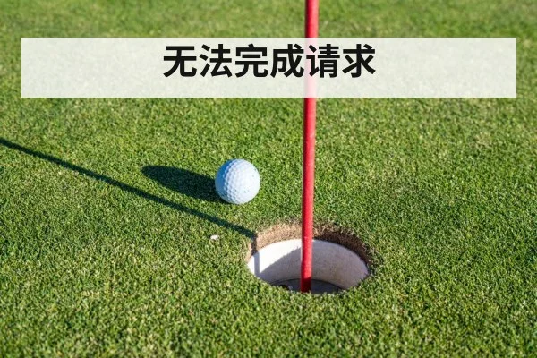 无法完成请求