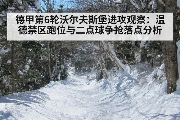德甲第6轮沃尔夫斯堡进攻观察：温德禁区跑位与二点球争抢落点分析