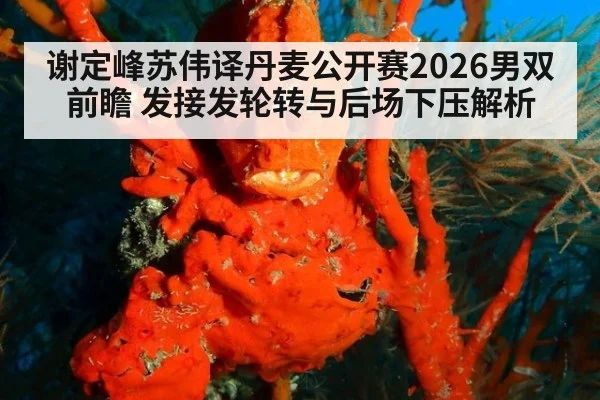 谢定峰苏伟译丹麦公开赛2026男双前瞻 发接发轮转与后场下压解析